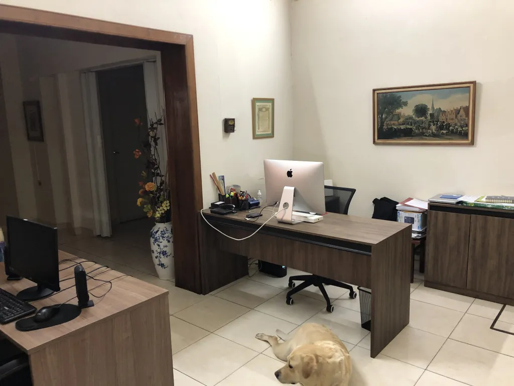 Vendo casa Barrio San Roque — foto 2