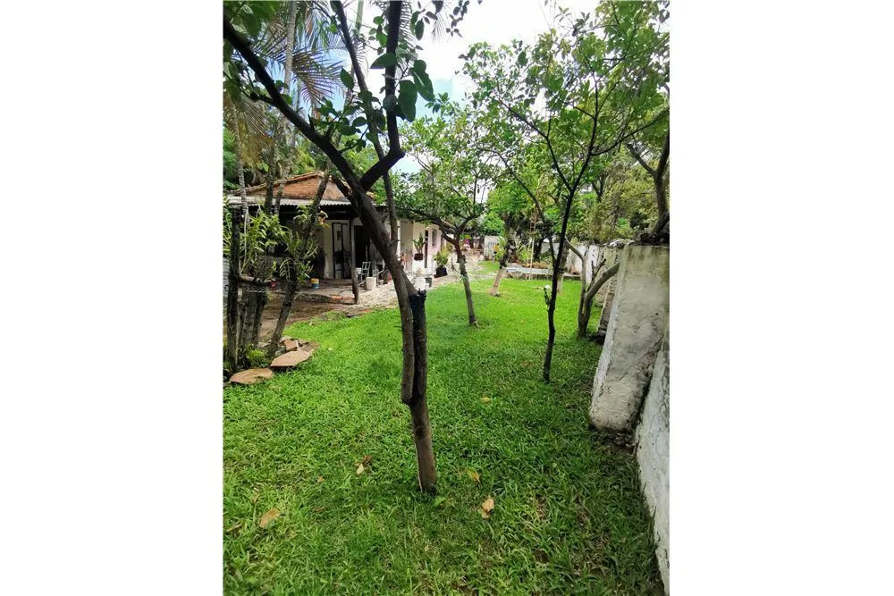 Vendo terreno con casa a refaccionar en Santisima Trinidad — foto 2