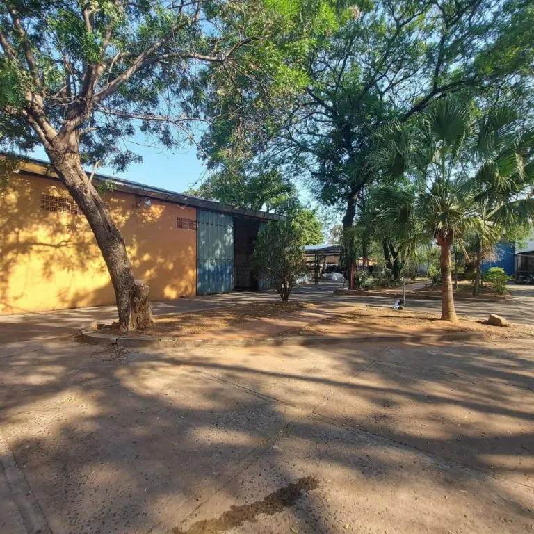 VENDO COMPLEJO LOGISTICO — foto 3