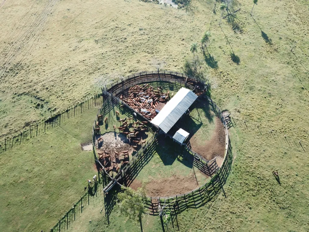 HERMOSA ESTANCIA EN ITACURUBI DEL ROSARIO A 230 KM DE ASUNCION — foto 3