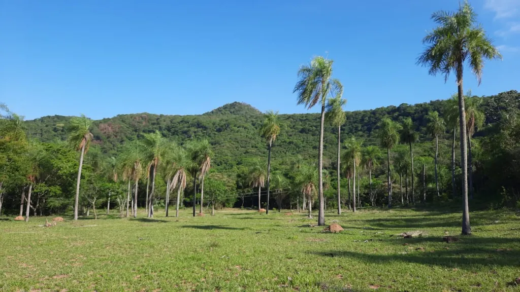 Campo en Venta en Villarrica - Mbocayaty Escobar. — foto 2
