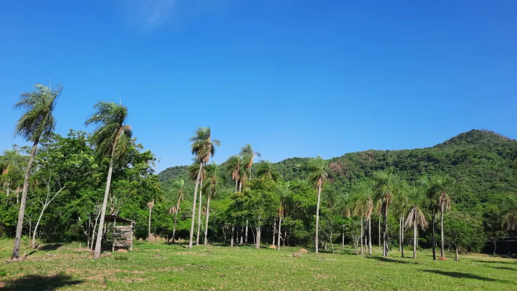 Campo en Venta en Villarrica - Mbocayaty Escobar. — foto 3