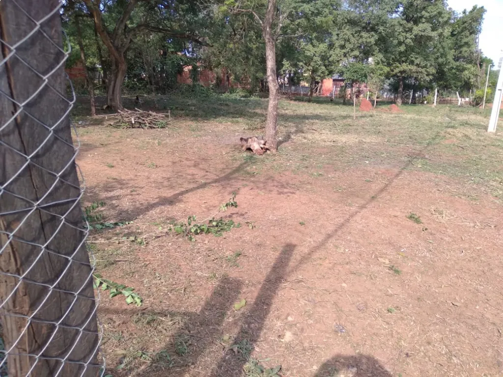 Imperdible - Terreno en Limpio — foto 2