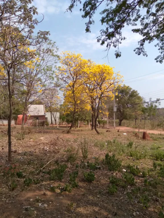 Imperdible - Terreno en Limpio — foto 3