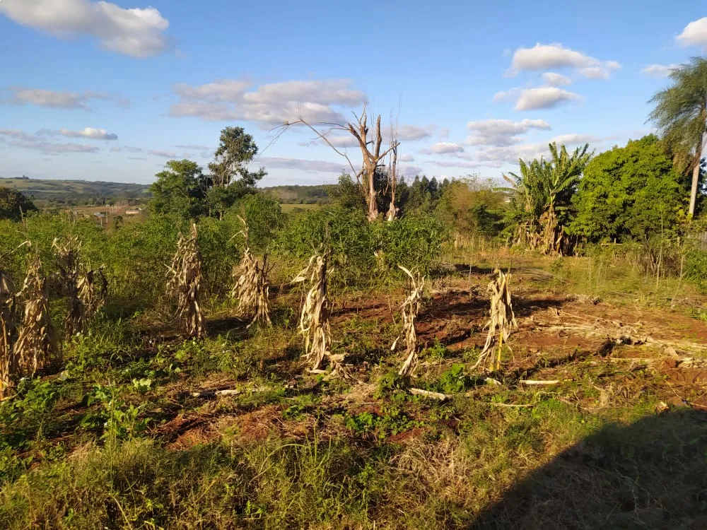 Hermoso lote oportunidad para inversión — foto 2