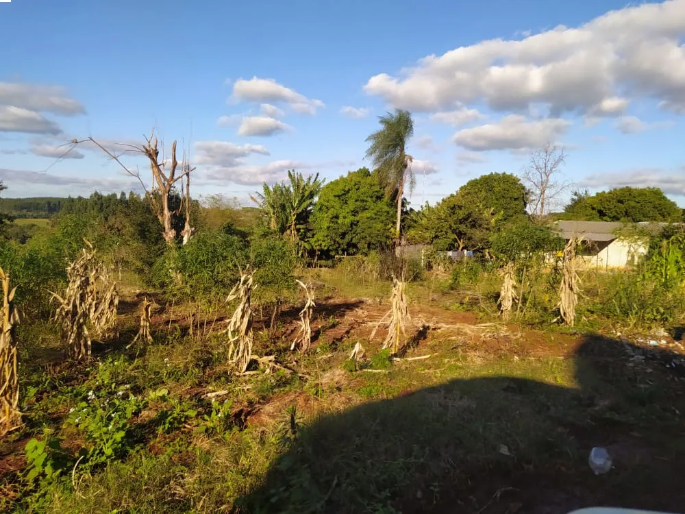 Hermoso lote oportunidad para inversión — foto 3