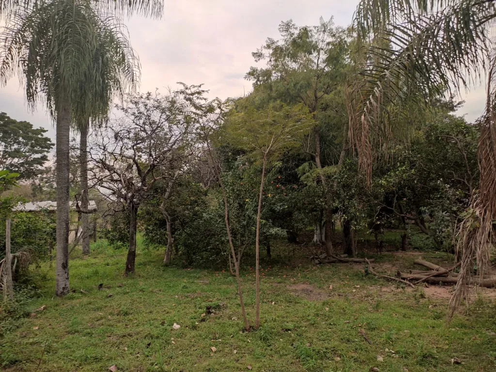 Oferto Terreno — foto 3