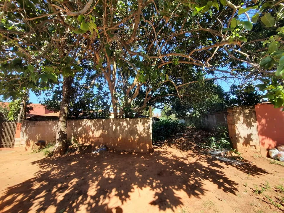 VENDO TERRENO EN CAPIATA CENTRO RUTA 2, ZONA COLEGIO POLITECNICO DE CAPIATA — foto 2