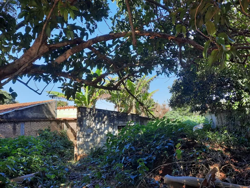 VENDO TERRENO EN CAPIATA CENTRO RUTA 2, ZONA COLEGIO POLITECNICO DE CAPIATA — foto 3