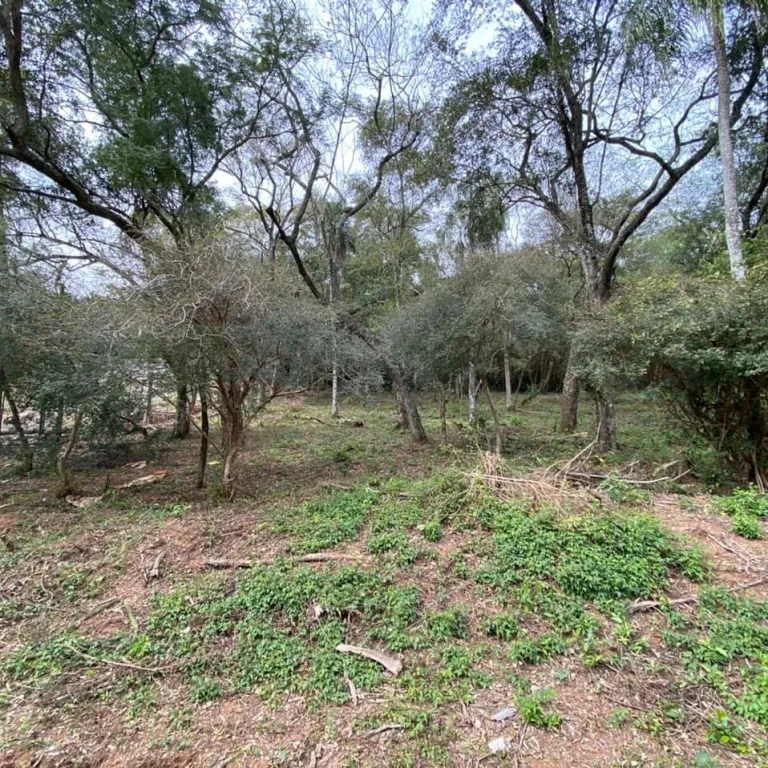 Vendo 4 terrenos juntos en Itaugua. Cod ES — foto 3