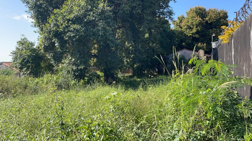 Vendo Terreno en Luque Zona Loma Merlo — foto 2