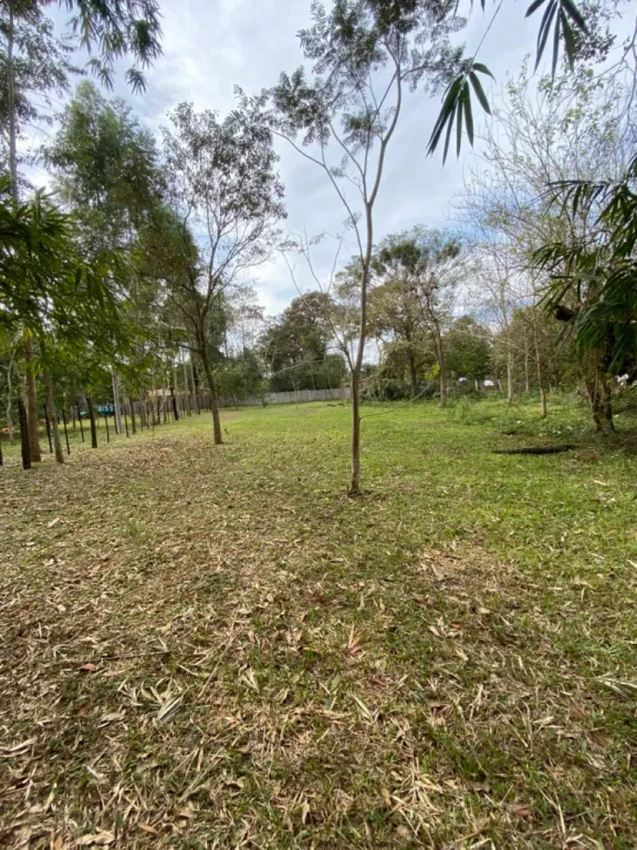 Oferta de Terreno zona Santa Lucia — foto 3