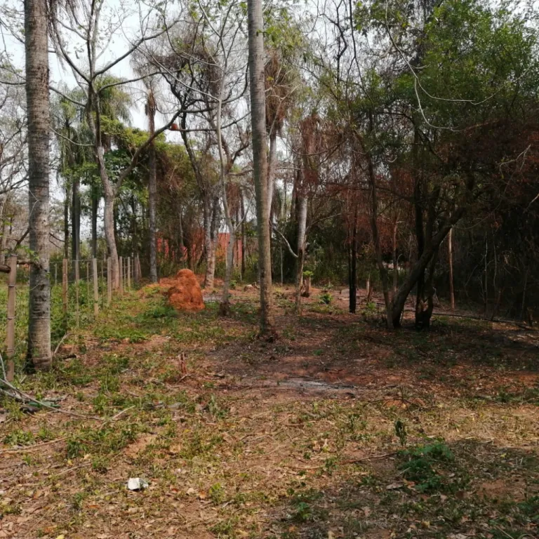 ATENCION! OFERTO TERRENO EN LUQUE ZONA RAKIURA!!!🏗 — foto 2