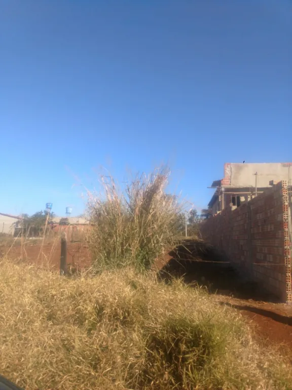 VENDO TERRENO EN KM10 LADO MONDAY CIUDAD DEL ESTE — foto 2