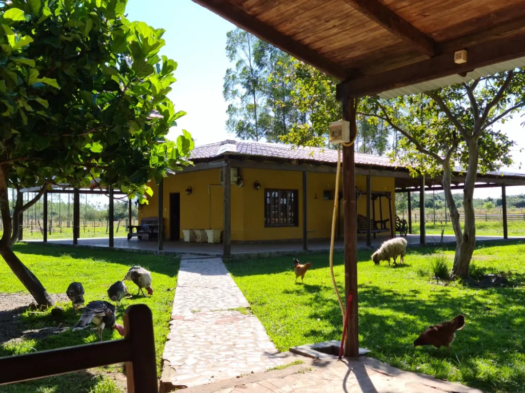 Espectacular terreno de 82 héctareas ubicada en zona Guairá — foto 2