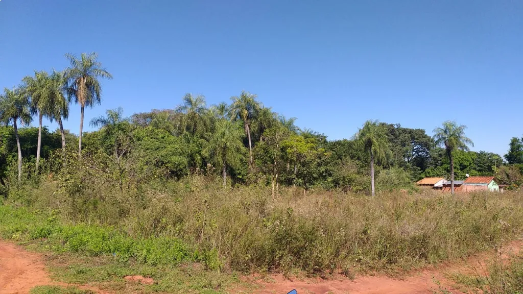 5 lotes juntos en COSTA FLEITAS AREGUA.!! — foto 3