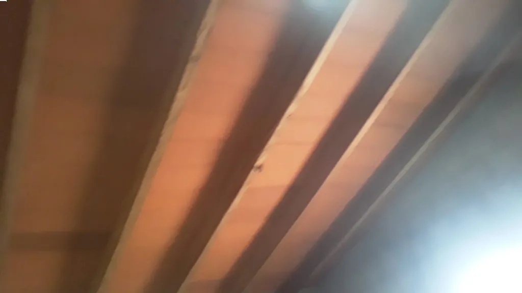 casa con ruta a frente 95millones — foto 3