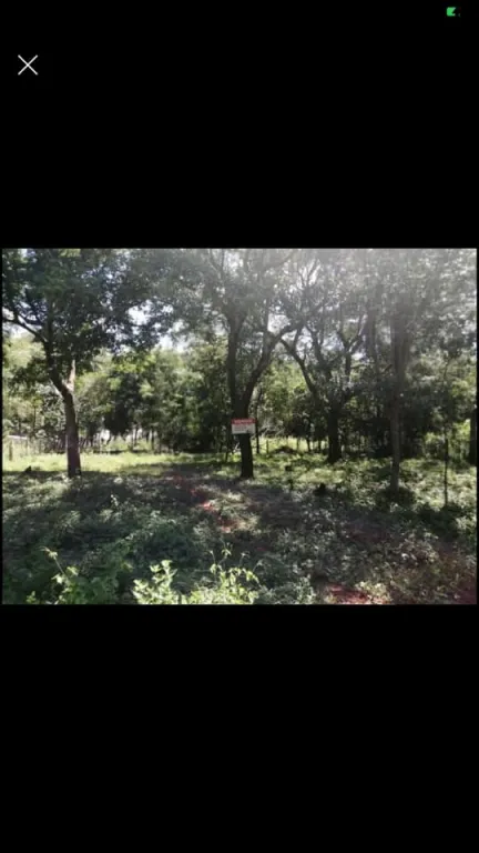 VENDO DOS TERRENOS EN LUQUE BARRIO ZARATE ISLA COD 3067 — foto 2