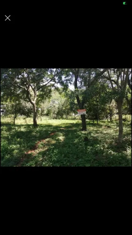 VENDO DOS TERRENOS EN LUQUE BARRIO ZARATE ISLA COD 3067 — foto 3