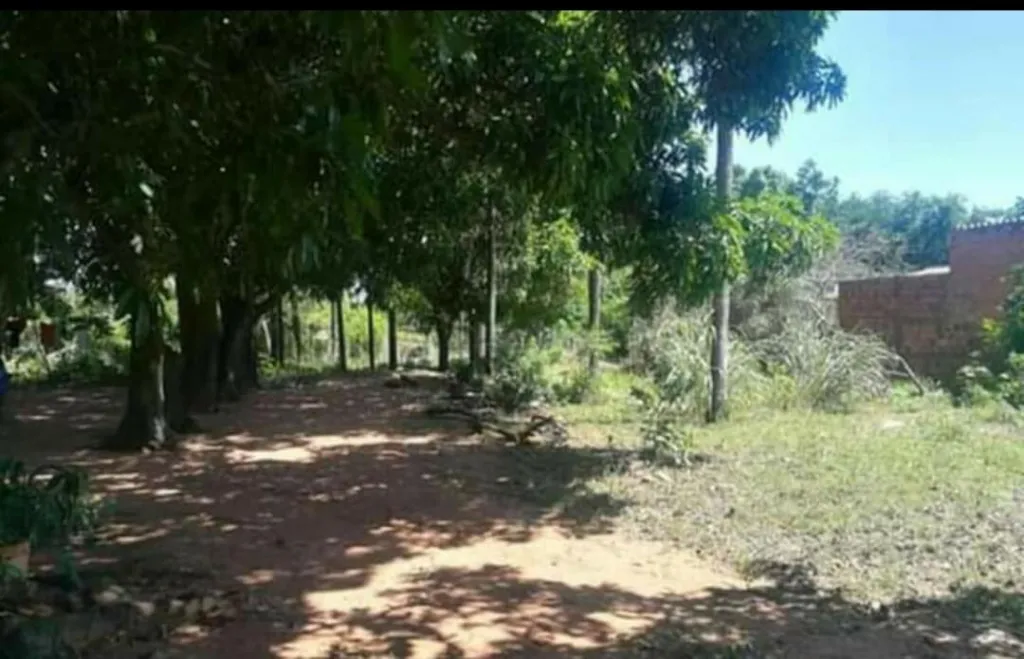 Vendo amplio terreno en la ciudad de Itaugua — foto 2