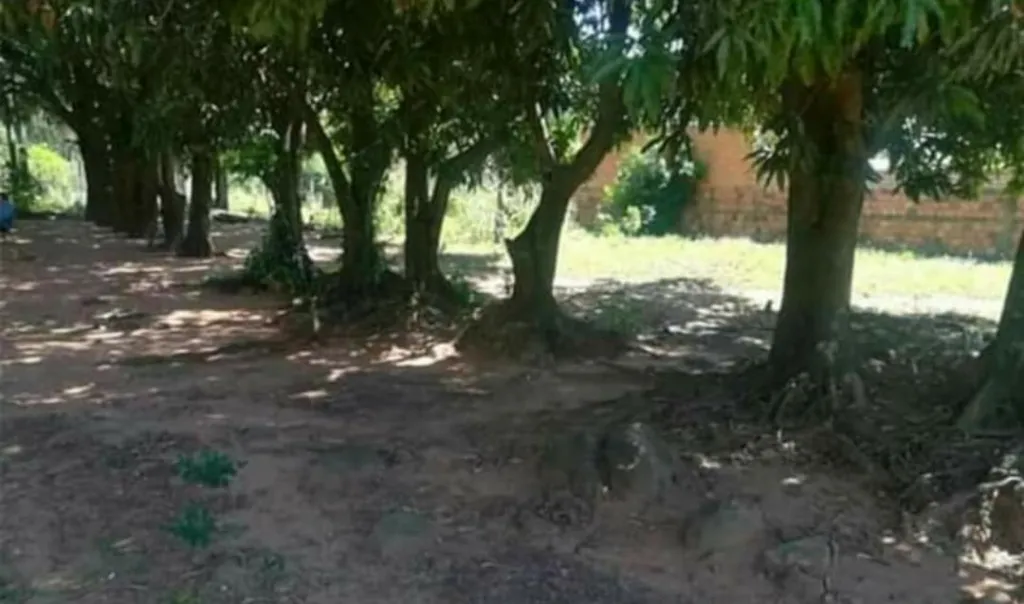 Vendo amplio terreno en la ciudad de Itaugua — foto 3