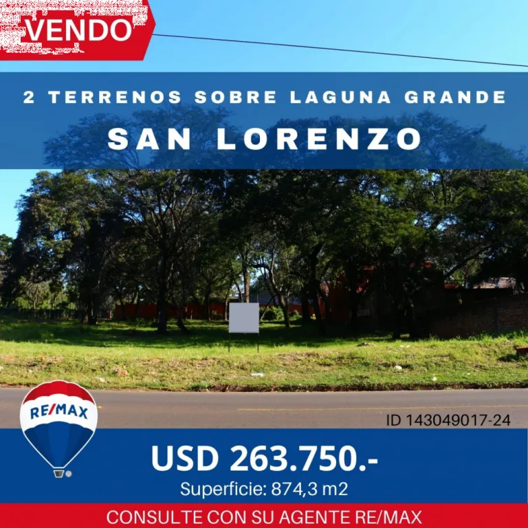 VENDO TERRENO SOBRE LA AVDA. LAGUNA GRANDE — foto 3