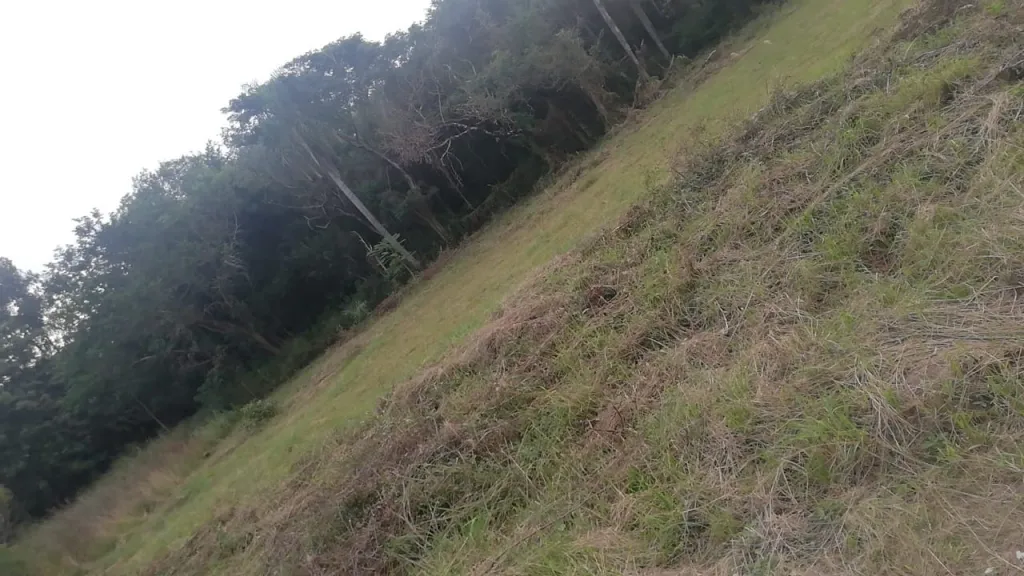 Hermoso Terreno en Venta — foto 2