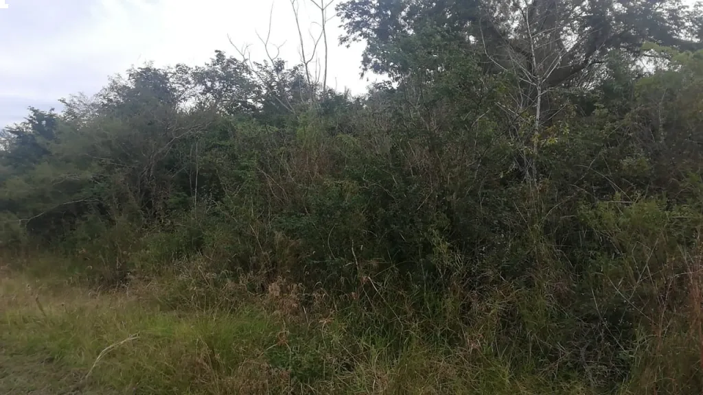 Hermoso Terreno en Venta — foto 3