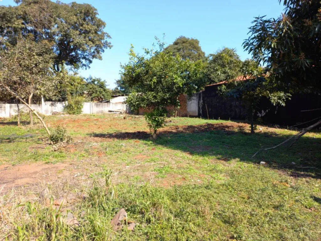 VENDO TERRENO EN CAPIATA — foto 2