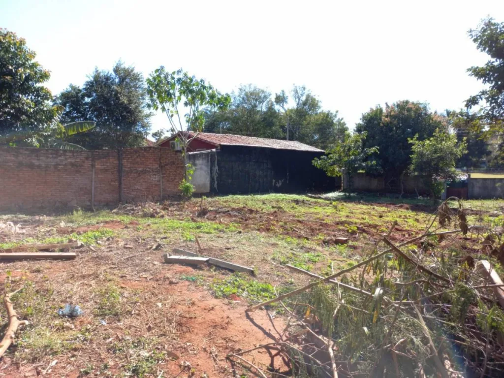 VENDO TERRENO EN CAPIATA — foto 3