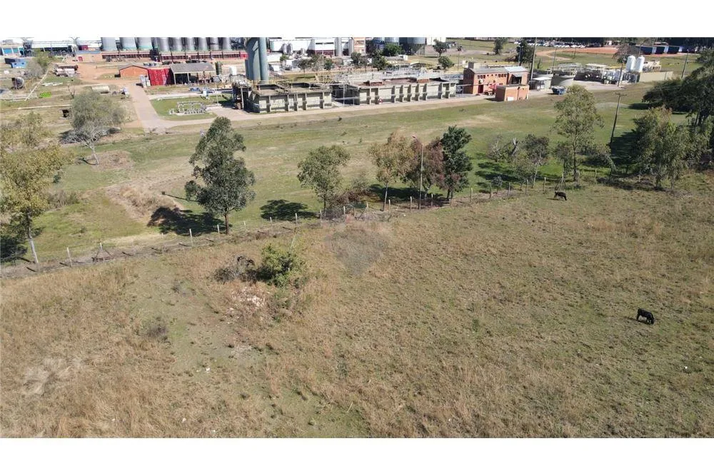 VENDO TERRENO EN YPANE SOBRE ACCESO-SUR — foto 3