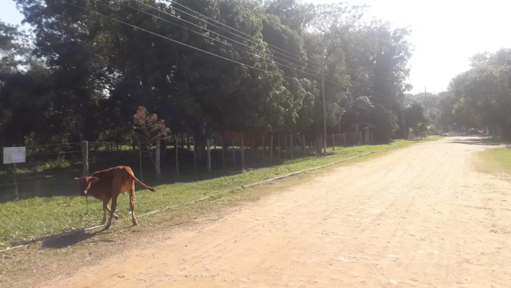 Vendo lindo terreno en SanBer — foto 2