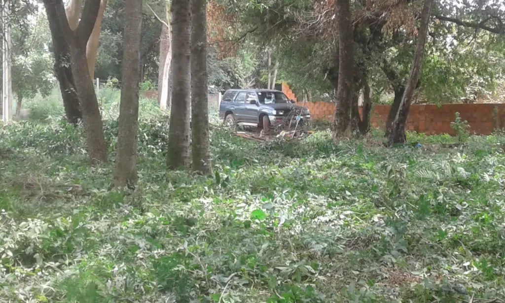 TERRENO EN BARRIO CAÑADITA ÑEMBY ESPECIAL PARA CASA QUINTA!! — foto 2