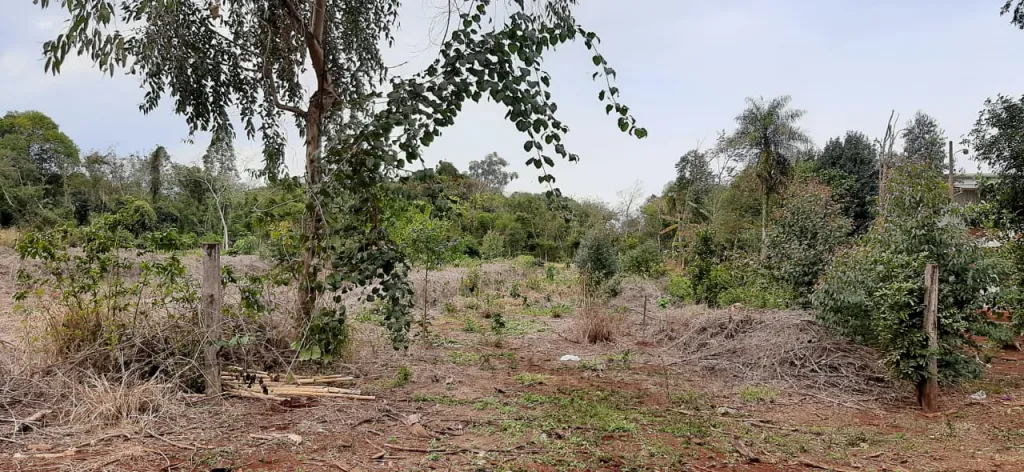 Vendo terreno — foto 2