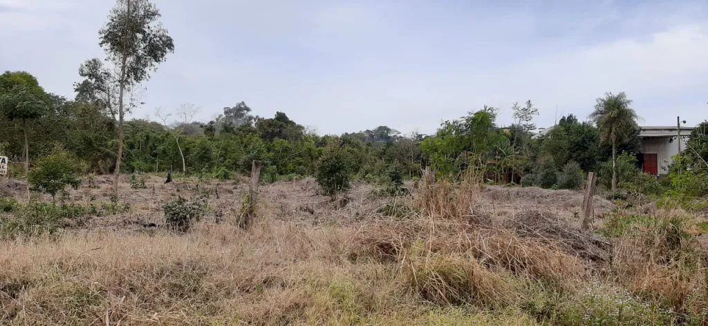 Vendo terreno — foto 3