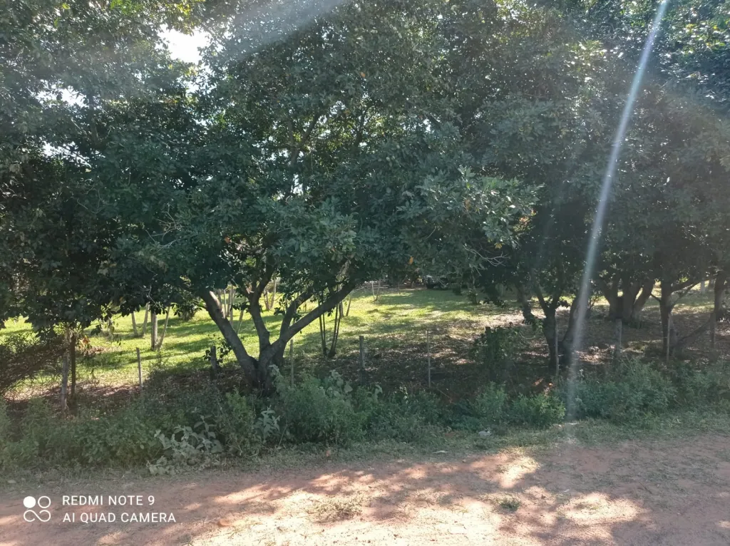 Vendo una casa quinta — foto 3