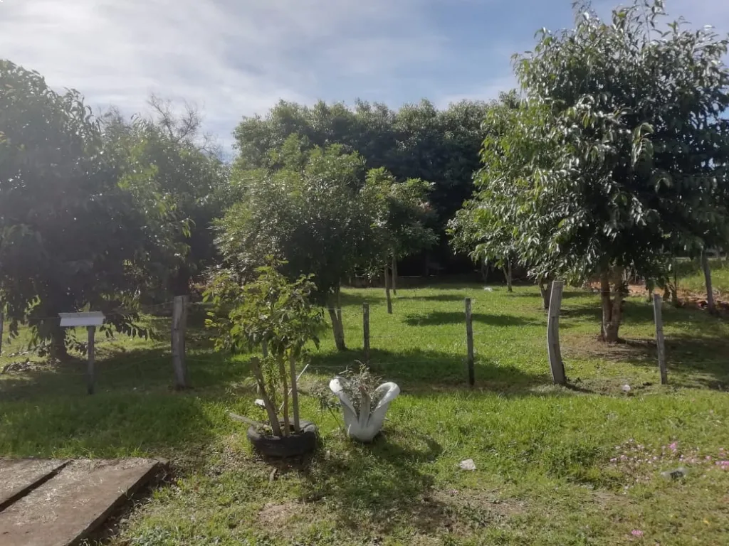 TERRENO UBICADO FRENTE MISMO A LA ENTRADA DE LA REPR. YACYRETA-AYOLAS — foto 2