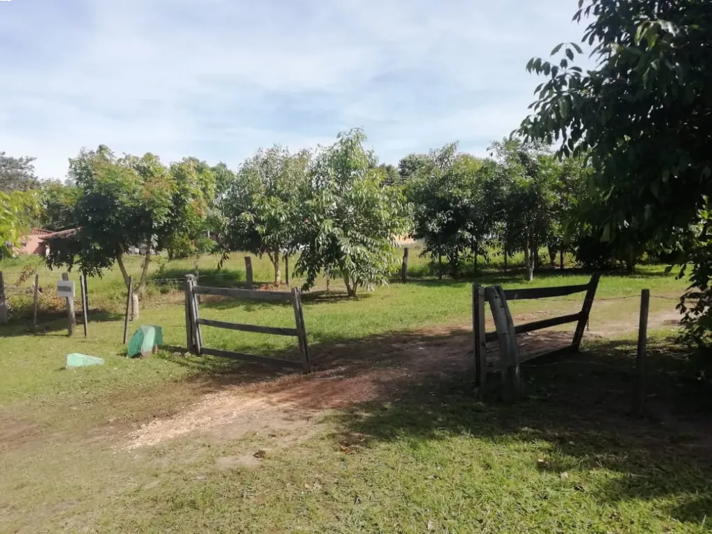 TERRENO UBICADO FRENTE MISMO A LA ENTRADA DE LA REPR. YACYRETA-AYOLAS — foto 3