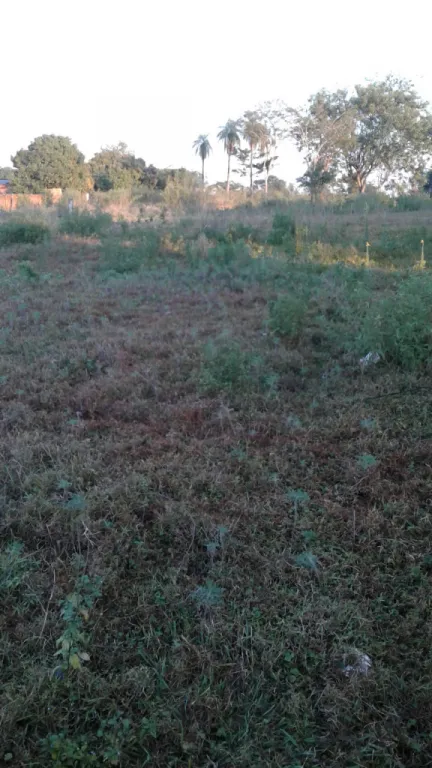 Vendo propiedad en J. A. Saldivar de 1 HA con 7.930 M2. — foto 3