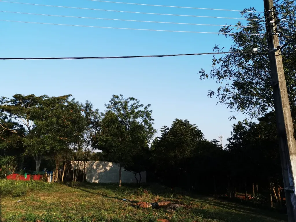 VENDO TERRENO EN LA CIUDAD DE SAN ANTONIO — foto 2