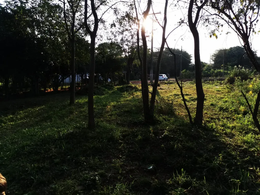 VENDO TERRENO EN LA CIUDAD DE SAN ANTONIO — foto 3