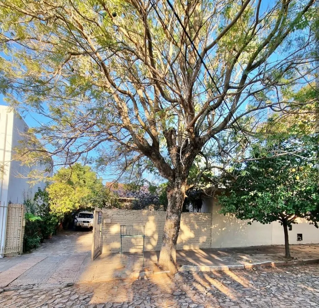 VENDO HERMOSA CASA EN EL BARRIO YCUA SATI — foto 2