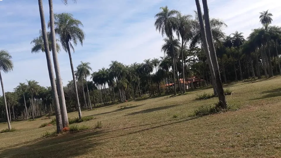 Caacupé, Cía. Cabañas, vendo propiedad de 12 has — foto 2