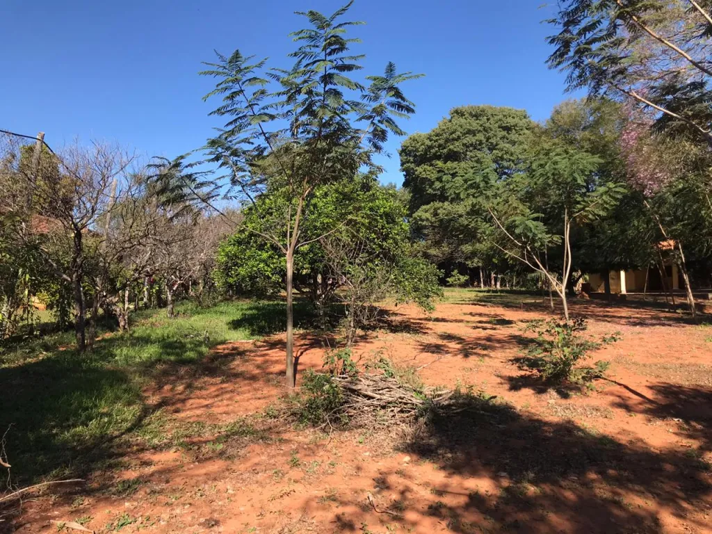 VENDO HERMOSO Y AMPLIO TERRENO EN AREGUA — foto 2
