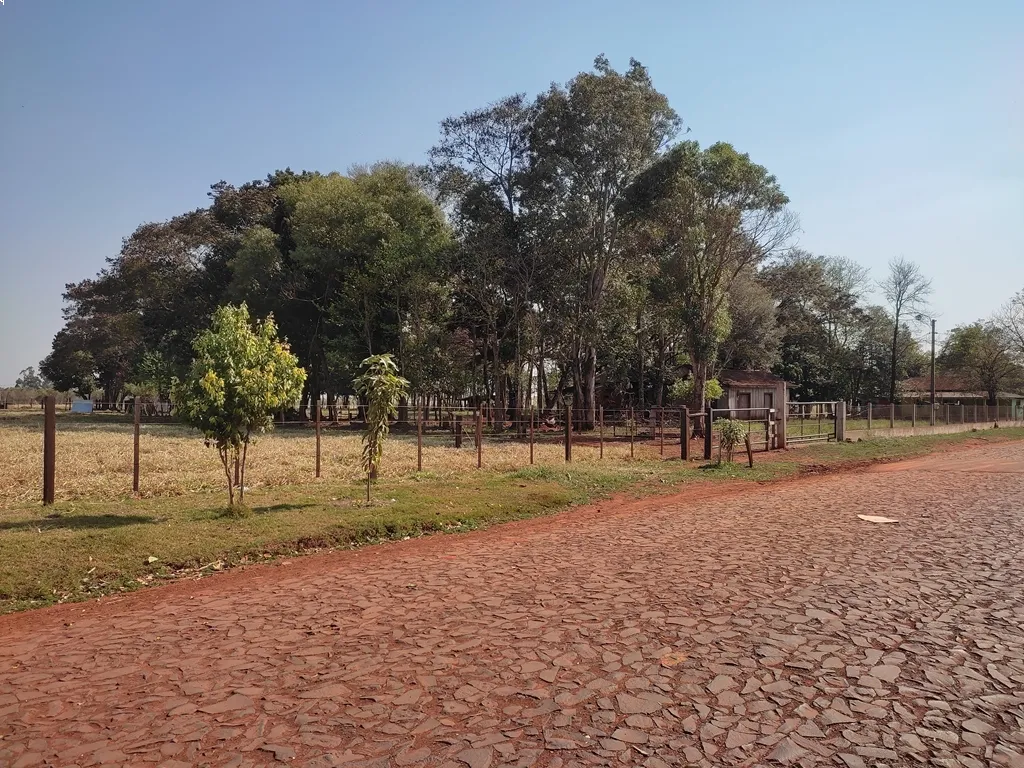 TERRENO DE 5.000m2 A METROS DE LA RUTA 6TA — foto 3