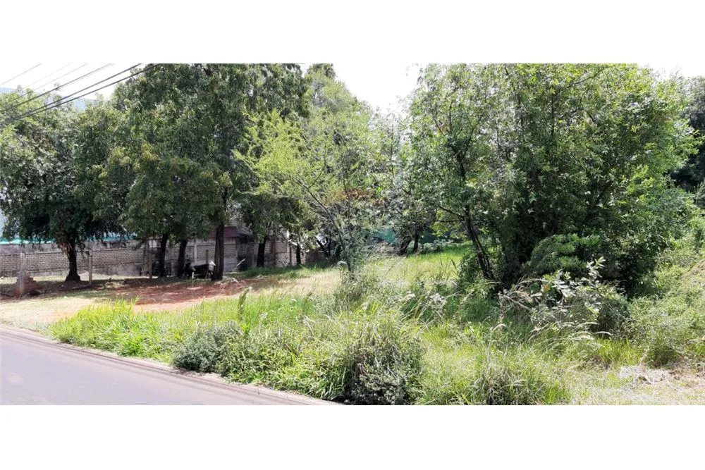 Vendo terreno en Ciudad Nueva, cerca del circuito comercial: superficie de terreno 774 m2. — foto 2