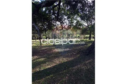 VENDO HERMOSO TERRENO SOBRE AV. GUILLERNO NAUMANN — foto 2