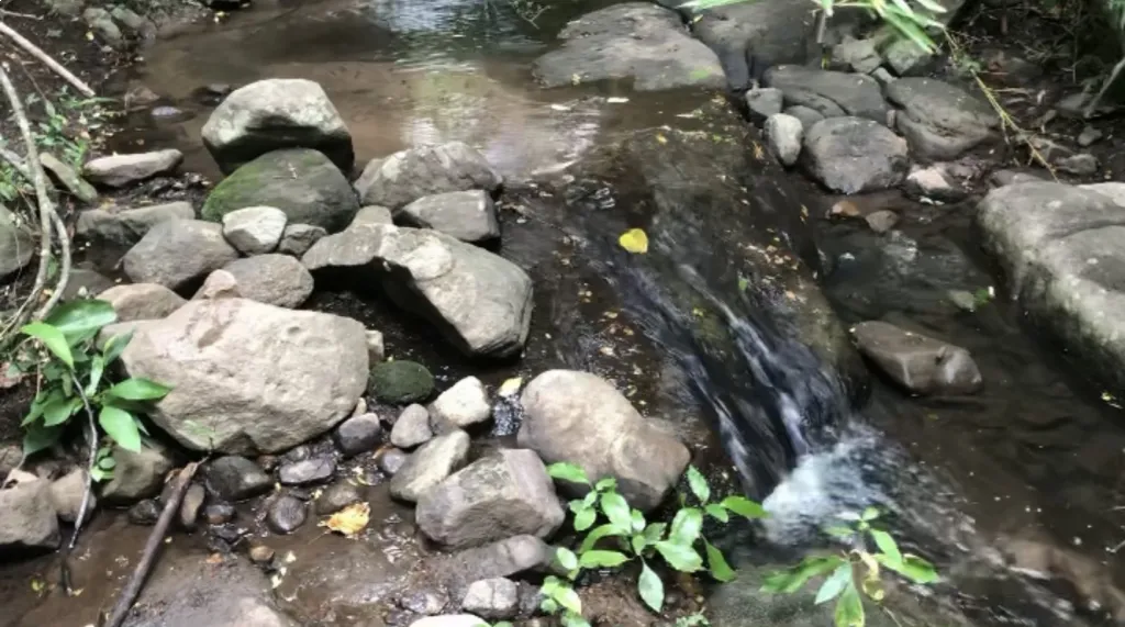 Propiedad Ideal para desarrollo de Eco Turismo — foto 2