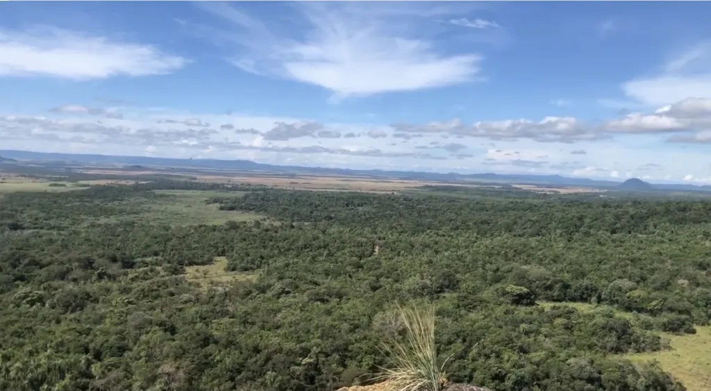 Propiedad Ideal para desarrollo de Eco Turismo — foto 3