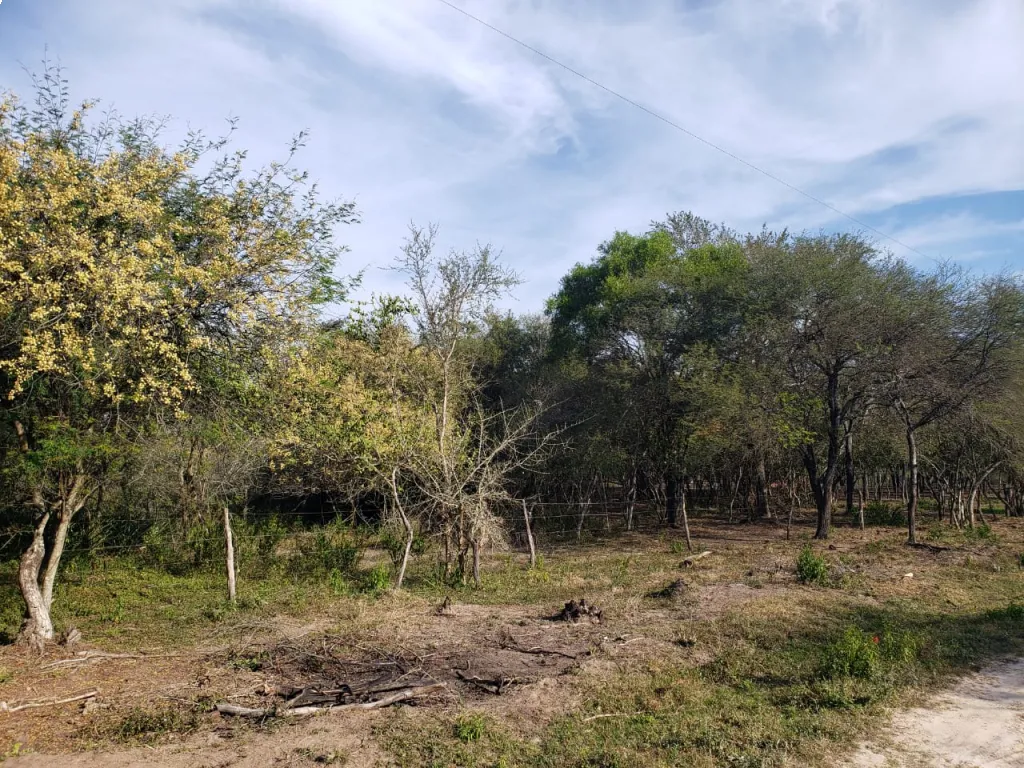 VENDO TERRENO EN ZONA FALCÓN — foto 2